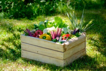 wooden box of vegetables